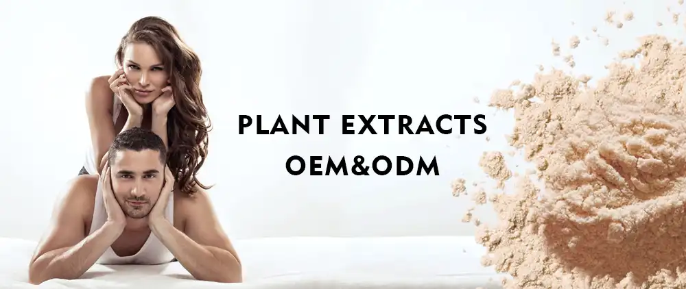 Best Saw Palmetto Capsules Best Saw Palmetto Capsules