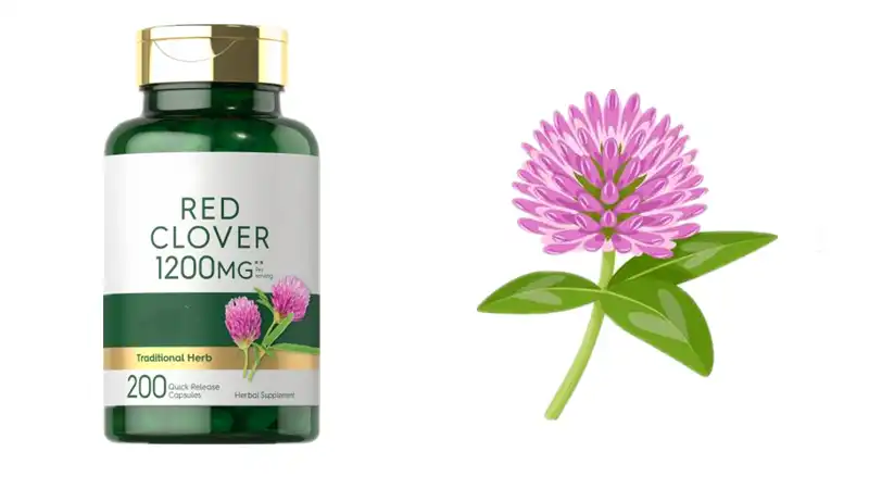 Red Clover Blossom capsules Red Clover Blossom capsules