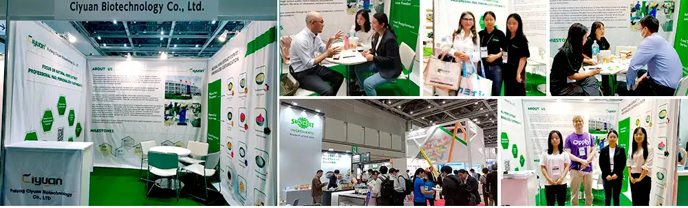 Yam Extract Powder Yam Extract Powder