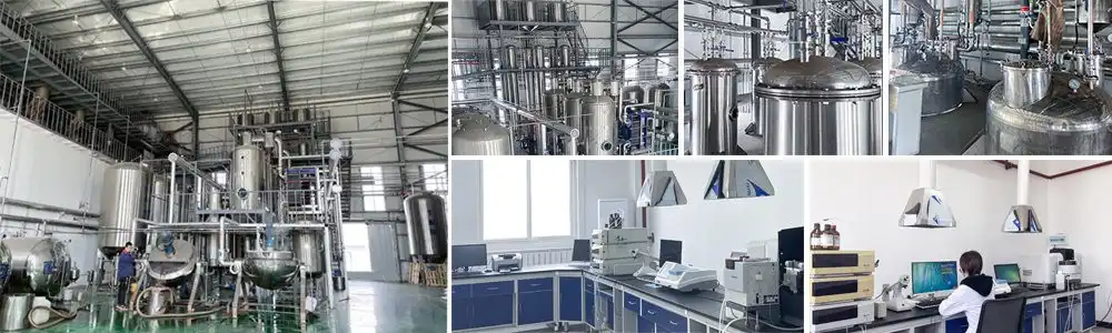 Yam Extract Powder Yam Extract Powder